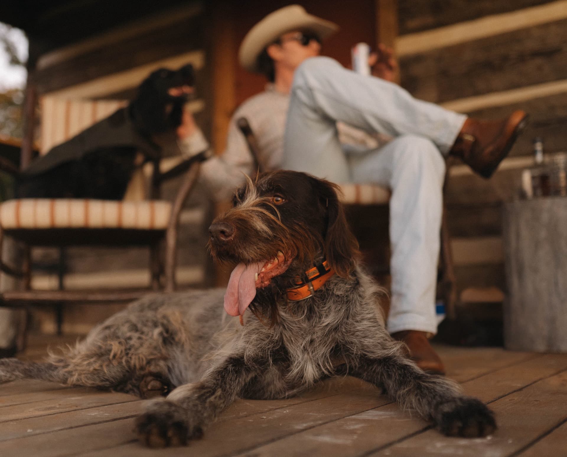 Sporting lifestyle scene on a central Virginia farm