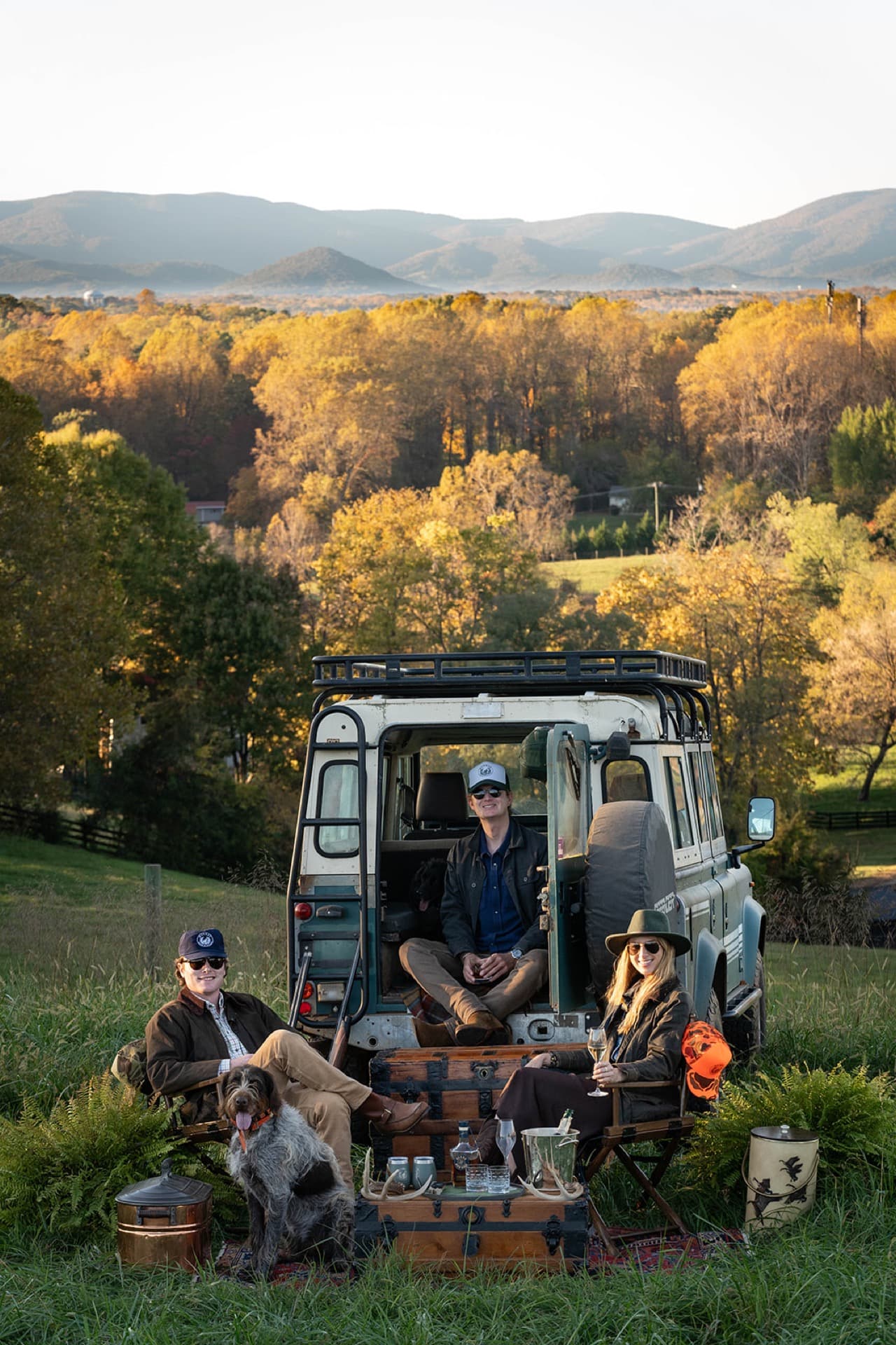 Virginia farm landscape — Western Albemarle pasture and Blue Ridge Mountains