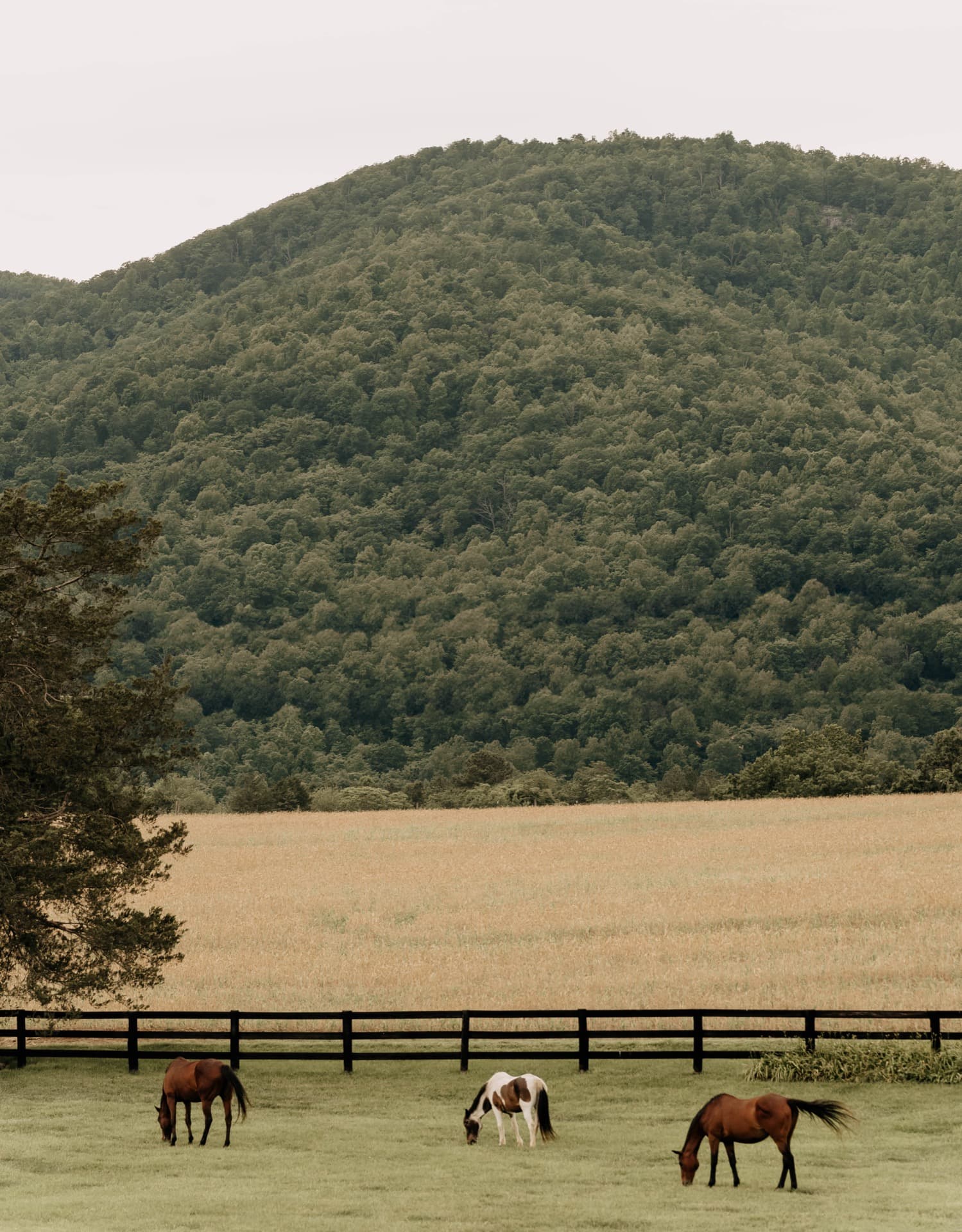 Equestrian properties